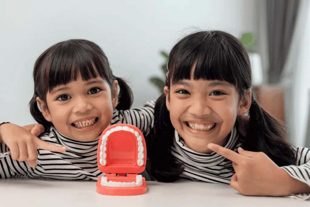How Orthodontists Determine The Right Age For A Child’s First Orthodontic Visit Two smiling children in striped shirts pointing at a dental model, emphasizing orthodontic evaluation and children's dental health.